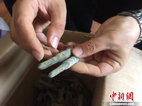 保存较为完好的子弹 抚宁区公安局供图 保存较为完好的子弹 抚宁区公安局供图