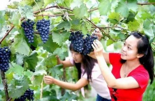 咱河北藏着33个风情小镇,人少景美还免费