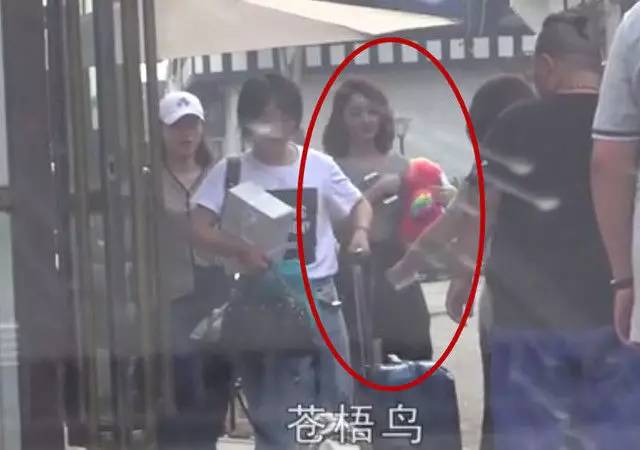 赵丽颖